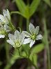 IMG_8356_l.jpg