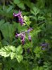 IMG_8522_l.jpg