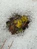 IMG_3421_l.jpg