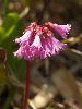 IMG_4287_l.jpg