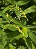 IMG_5070_l.jpg