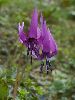 IMG_5878_l.jpg