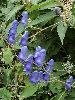 EPL11398_l.jpg