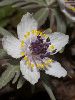 IMG_9891_l.JPG
