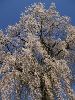 takayama66-l.jpg