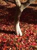 IMGP0053_l.jpg