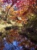 IMGP0045_l.jpg