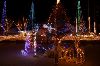 IMGP0030_l.jpg