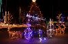 IMGP0035_l.jpg