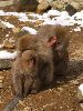 IMGP0044_l.jpg