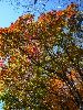 RIMG0032_l.jpg