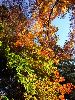 RIMG0069_l.jpg
