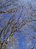 RIMG0094_l.jpg