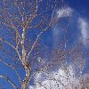 IMGP0069_l.jpg