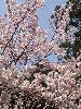 RIMG0039_l.jpg
