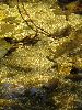 IMG_0042_l.jpg