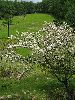 IMG_0003_l.jpg