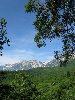 IMG_0006_l.jpg