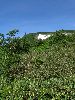 IMG_0015_l.jpg