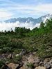 IMG_0018_l.jpg