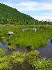 IMG_0021_l.jpg