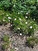 IMG_0026_l.jpg
