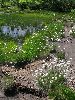 IMG_0028_l.jpg