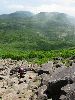 IMG_0037_l.jpg