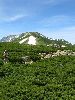IMG_0051_l.jpg