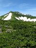 IMG_0056_l.jpg