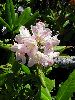 IMG_0065_l.jpg