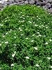IMG_0070_l.jpg