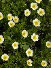 IMG_4667_l.jpg