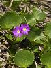 IMG_4681_l.jpg