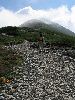 IMG_0027_l.jpg