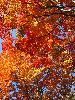 IMG_0046_l.jpg