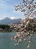 IMG_0054_l.jpg