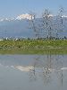 IMG_0015_l.jpg