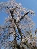 IMG_0076_l.jpg