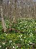 IMG_0118_l.jpg
