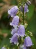 IMG_6856_l.jpg
