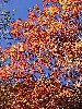 DSCF0453_l.jpg