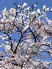 DSCF1545_l.jpg