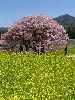 IMG_0034_l.jpg