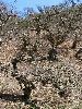 IMG_0033_l.jpg