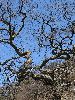 IMG_0051_l.jpg