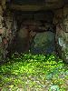 DSCF2320_l.jpg