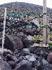 DSCF2479_l.jpg