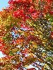 IMG_0027_l.jpg