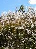 IMG_0070_l.jpg